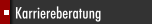 Karriereberatung